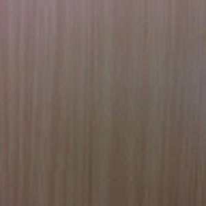 Meet your Posher, Ani